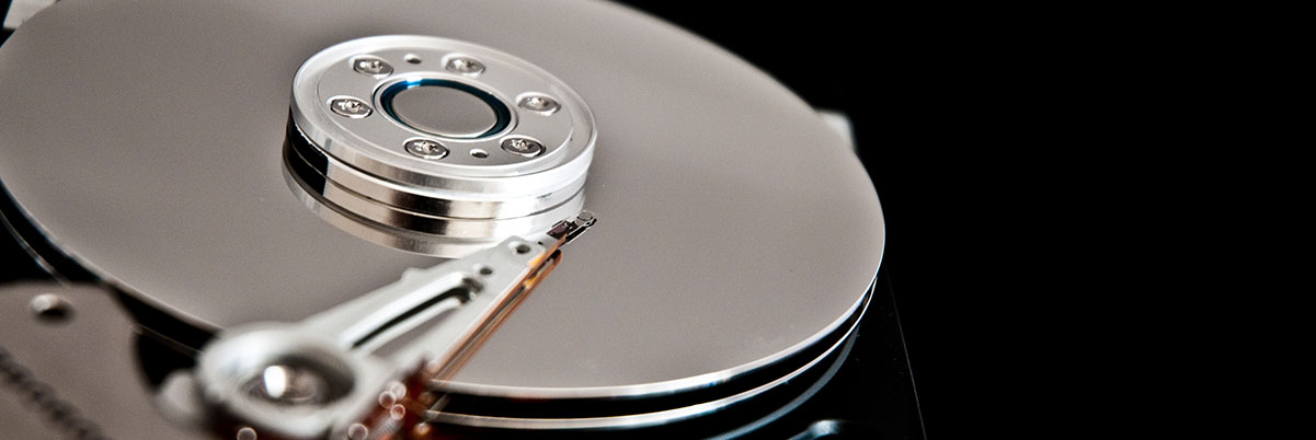 Data Maintenance Services