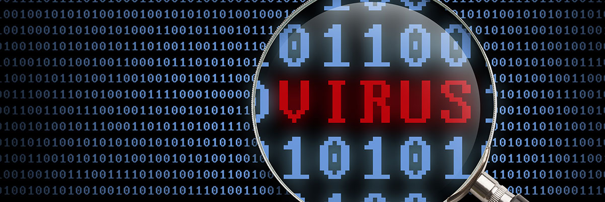 Virus Removal Service